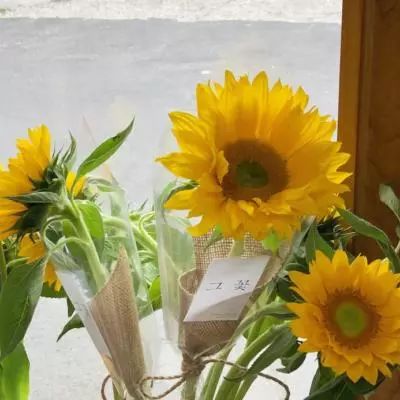 安博体育app官方下载入口截图